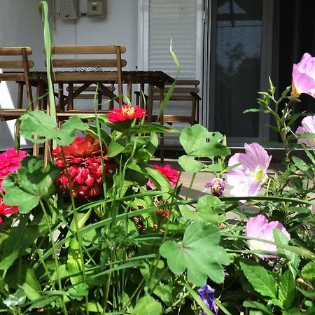 Smaragdi * 佩弗卡里