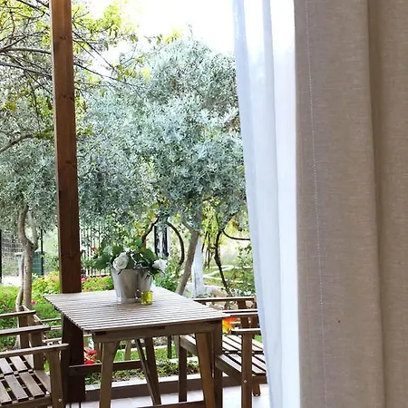 Smaragdi * بيفكاري